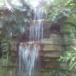 Meet your Posher, Wendy